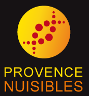 Éradication de nuisibles tels que rats ou abeilles dans tout type de logement Marseille Provence Nuisibles
